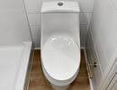 Dual Flush Toilet